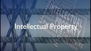 Business owner signing intellectual property insurance paperwork in Orlando.