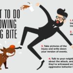 Current image: chart explaining does personal liability cover dog bites November 2025