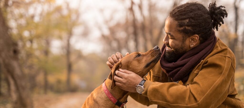 Current image: infographic on does personal liability cover dog bites November in the USA