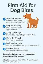 infographic on does personal liability cover dog bites November in the USA