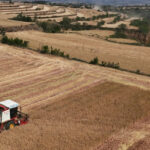Current image: Farm liability insurance for agritourism businesses farm tour illustration