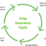 Current image: Infographic showing steps of crop insurance claims process for drought damage in USA