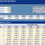 Current image: Revenue Protection crop insurance payout calculation chart for U.S. farmers