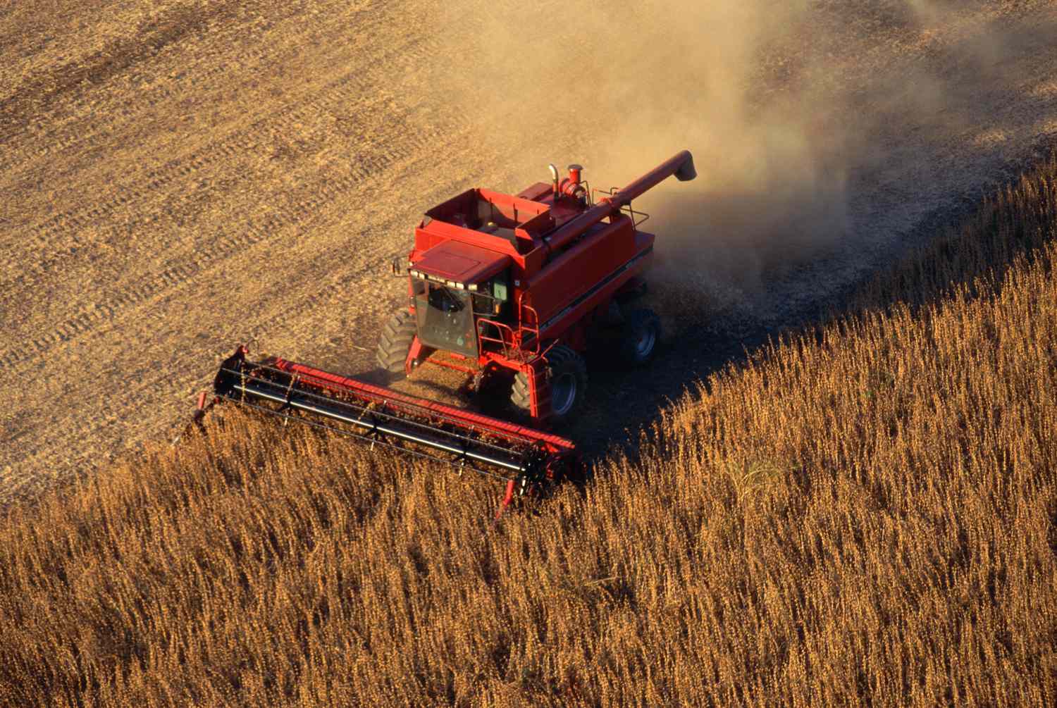 cheap equipment insurance for harvest season combine in field at sunset