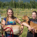 Current image: Farm liability insurance for agritourism businesses hayride safety graphic