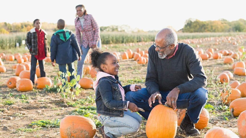 Farm liability insurance for agritourism businesses visitor protection infographic