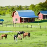 Current image: how much does farm insurance cost for small ranches – small ranch house and equipment photo